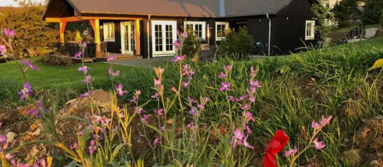 Scandinavische lodge nabij Winterberg