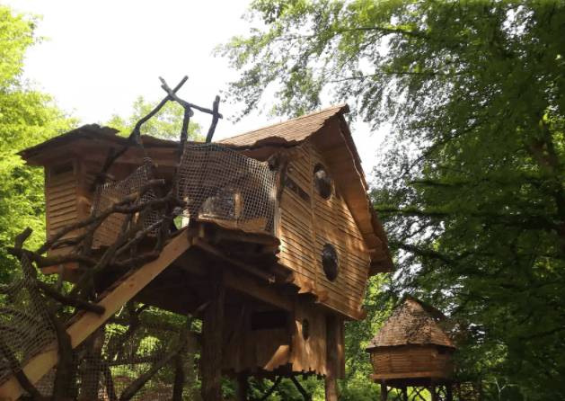 Boomhut Airbnb in de Ardennen