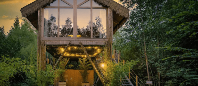 Boomhut met jacuzzi Airbnb