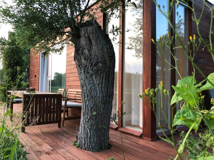 Waterfront Tiny House Airbnb