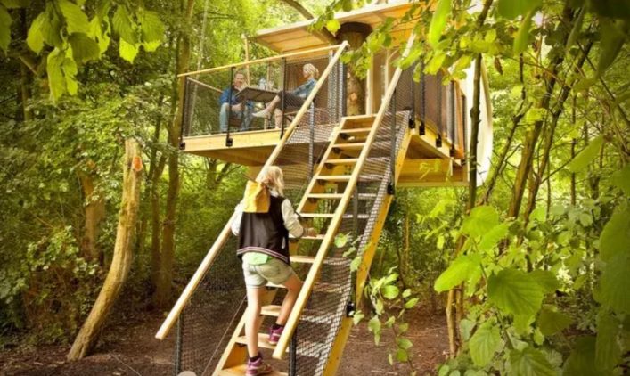 Boomhut Suite bij Alpaca's