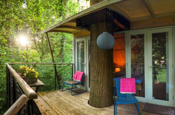 Boomhut Suite bij Alpaca's