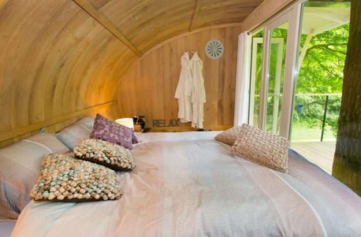 Boomhut Suite bij Alpaca's