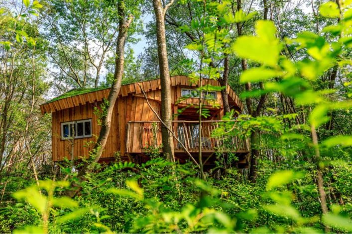 Boomhut met hottub Drenthe XXL