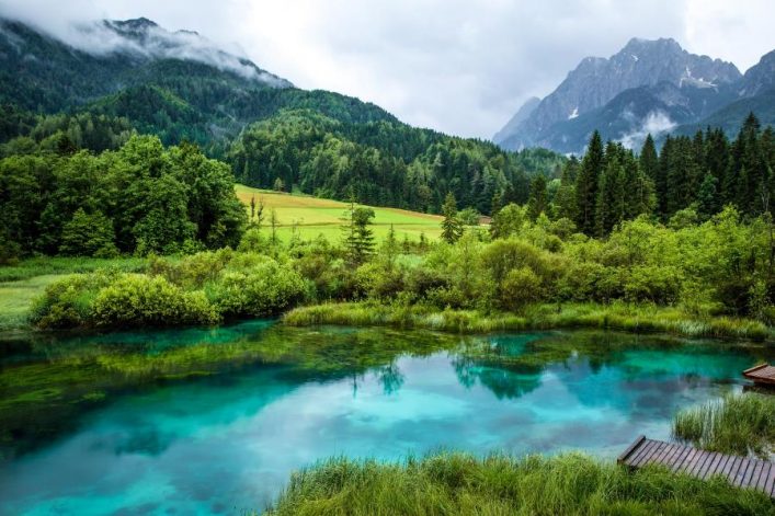 Het Zelenci meer in Slovenie
