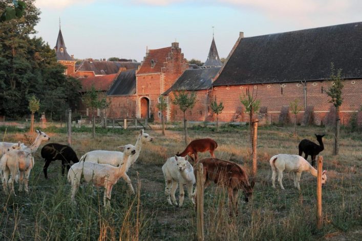 Kasteel Nieuwenhoven