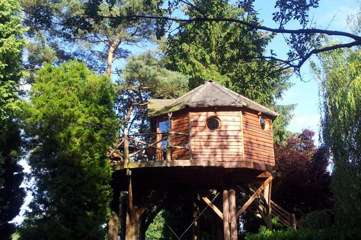 Boomhut met zwembad in de Ardennen