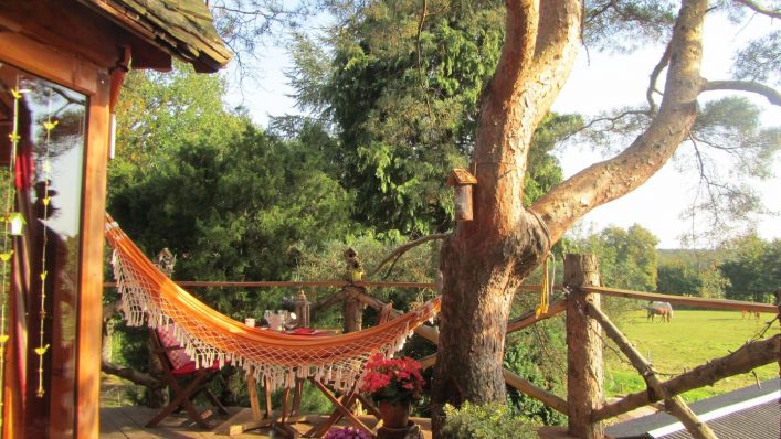 Boomhut met hangmat in de Ardennen