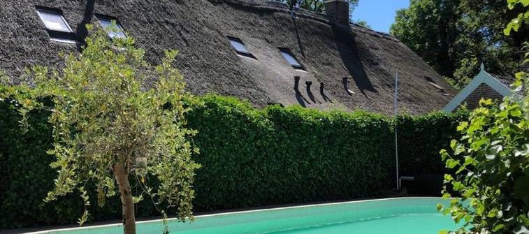 Zwembad van het natuurhuisje in Drenthe