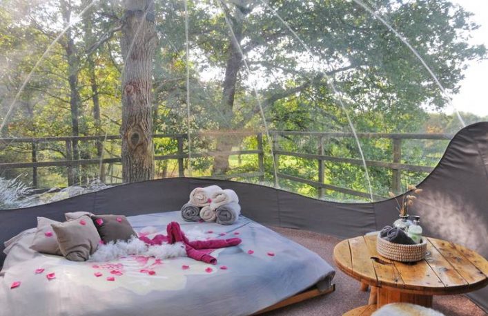 Bubble boomhut in Fisenne