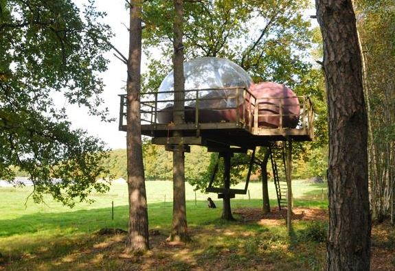 Bubble boomhut in de Ardennen