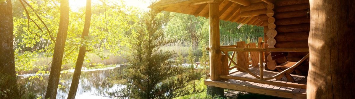 Boomhuis aan het water