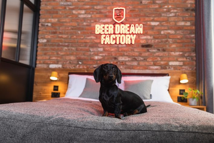 HGNL-Doghouse-Manchester4