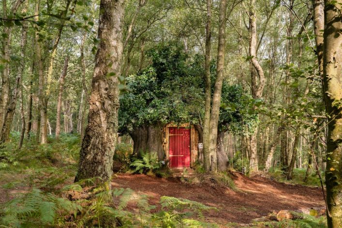 Winnie the Pooh Airbnb