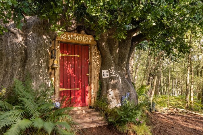 Winnie the Pooh Airbnb