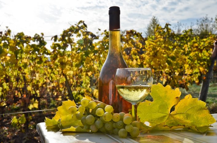 Sales_VisitHungary_Tokaj_-3