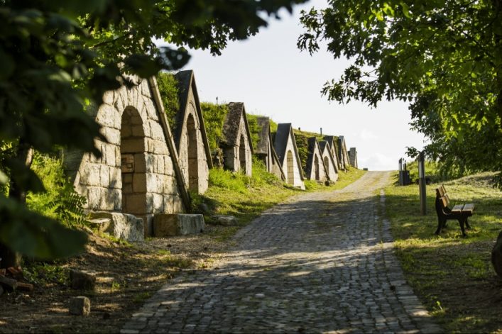 Sales_VisitHungary_Tokaj_Gomboshegy