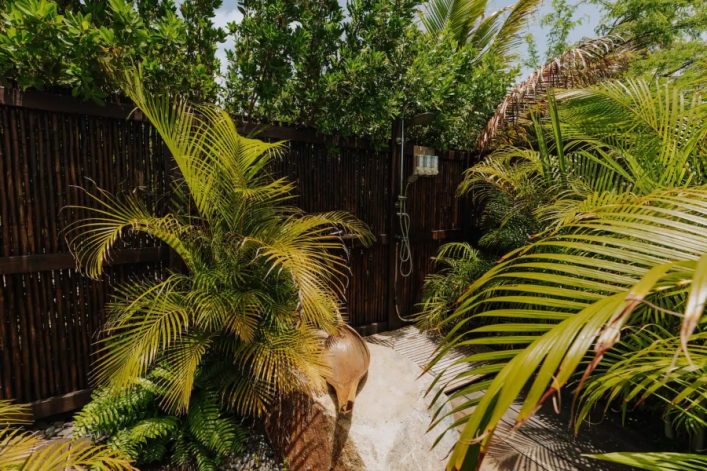 Airbnb Aruba