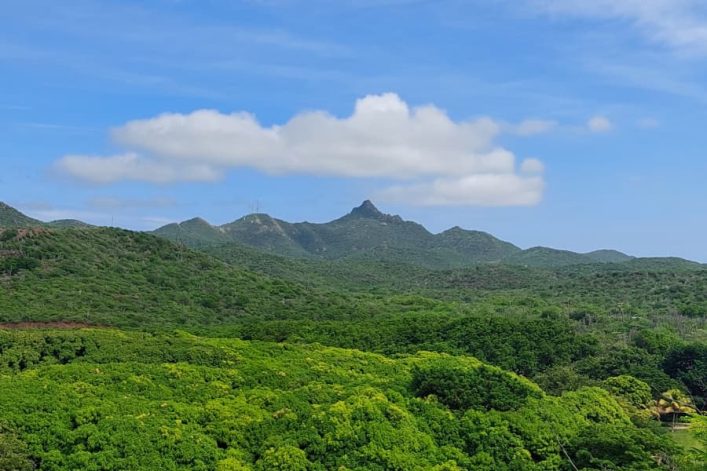 Leukste bezienswaardigheden Curacao Hofi Mango