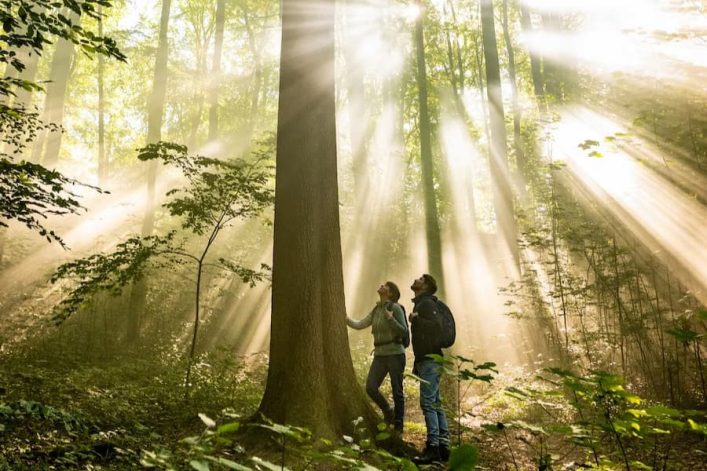 Mensen in een bos met zonlicht