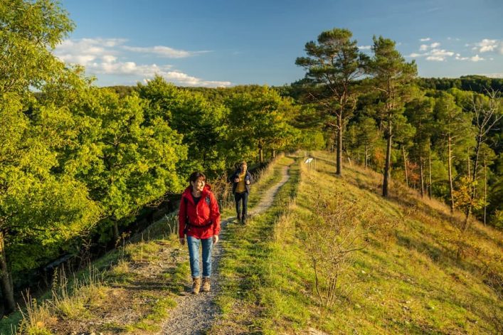 Mensen aan het wandelen in de natuur