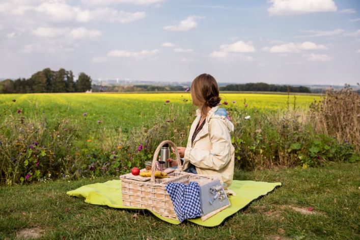 Bezienswaardigheden Münsterland picknick