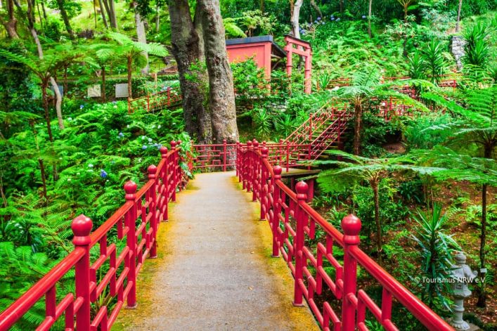 Bezienswaardigheden Madeira Monte Palace Tropical Gardens
